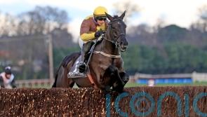 Galopin Des Champs features among Festival contenders
