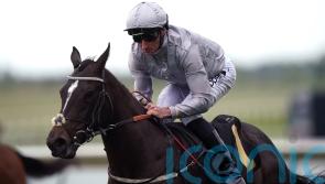 Burke lining up Royal Ascot team packed with promise