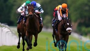 Morrison to resist temptation to supplement Quickthorn for Gold Cup