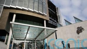 Complaints made against 1,600 Irish lawyers last year, watchdog reveals