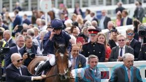 Tuesday ‘very possible’ to be supplemented for Irish Derby