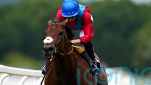 Stoute hoping Bay Bridge can play his part in ‘high-class’ Eclipse