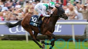 Hoo Ya Mal joins Boughey ahead of possible St Leger bid