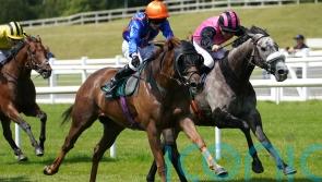 Mr Wagyu given Stewards’ Cup green light