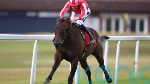 Rocket Rodney set for French assignment in Breeders’ Cup build-up