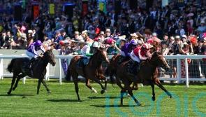 Watson looking forward to Group One challenge with Bradsell