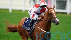 Doncaster next possible port of call for Holloway Boy
