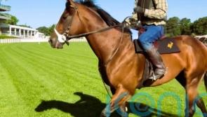 Ward sets out Breeders’ Cup hat-trick aim for Golden Pal