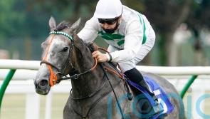 Prescott ‘privileged’ to train Group One star Alpinista