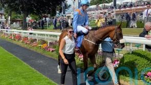 The Platinum Queen supplemented for Nunthorpe challenge