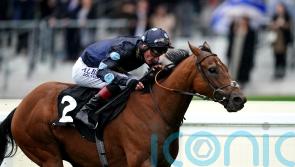 ‘Absolute superstar’ Tis Marvellous ready for Beverley defence