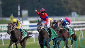 Verry Elleegant to test Arc hopes on Trials Day