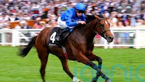 Naval Power sets sail for Ascendant honours at Haydock