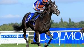 Auguste Rodin tops Futurity Trophy field for O’Brien
