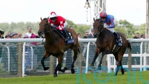 Multiple Group One winner Rock Of Gibraltar dies at the age of 23