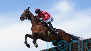 Ahoy Senor team left to regroup after Charlie Hall disappointment