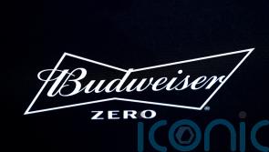 Decision to ban alcohol at World Cup leaves complex legal mess – leading expert