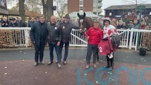 Impressive start over fences for Ballygrifincottage