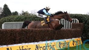 Clarence House Chase target next for Edwardstone