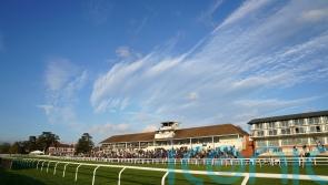 Day one of Lingfield’s Winter Million meeting lost to cold snap