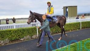 Bistro serves up a feast for Mullins in victory at Naas