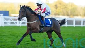 Goshen back for second try over the larger obstacles at Lingfield