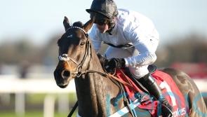 Henderson expects Leopardstown events to make Cheltenham picture clearer