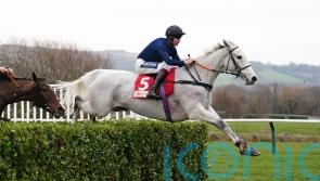 Longsdon ‘delighted’ after Snow Leopardess’ Cheltenham spin