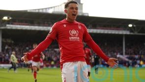 Brennan Johnson is showing he belongs in the Premier League – Steve Cooper