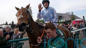 Honeysuckle to have Mares’ Hurdle swansong at Cheltenham