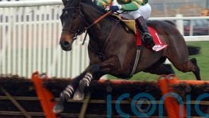 ‘Superstar’ hurdler Baracouda has died at the age of 28