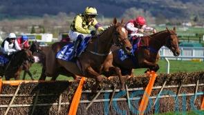 Colonel Mustard rethink after Newbury outing scuppered by ground