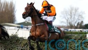 Cheekpieces back on Noble Yeats for Gold Cup challenge