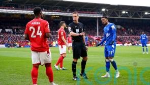 Steve Cooper and Sean Dyche criticise John Brooks’ refereeing display after draw