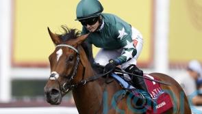 Nashwa set to return at York next month