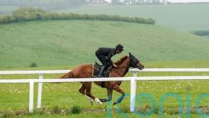 Balding wary of &lsquo;exceptional&rsquo; O&rsquo;Brien pair in 2000 Guineas
