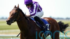 Little Big Bear seeking redemption in Sandy Lane