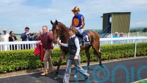O’Brien confident River Tiber will stay Coventry distance