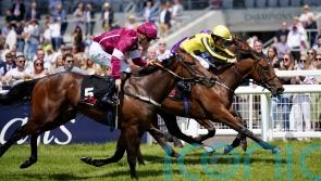 Coventry runner Givemethebeatboys sells for £1.1million