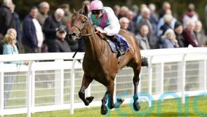 Bluestocking under consideration for Irish Oaks outing