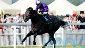 Stott harbouring healthy respect for Steel’s King George challengers