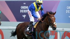 Desert Crown set for surgery on fetlock injury