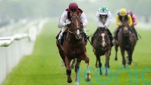 Main harbouring Group-race hopes for Zoulu Chief