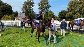 Cambridge puts O’Brien on the mark with rare Salisbury runner