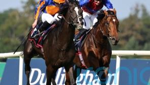 Breeders’ Cup bid set to beckon for Auguste Rodin