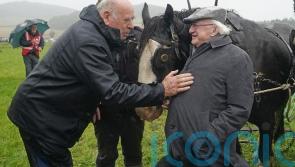 Irish president suggests climate changes &lsquo;not as simple&rsquo; as giving up meat