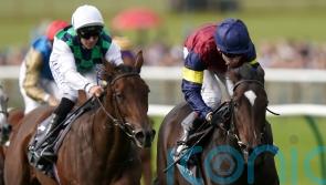 O’Brien plotting Breeders’ Cup bid with Porta Fortuna