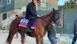 Carla&rsquo;s Way primed for Porta Fortuna showdown