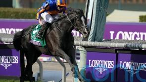 ‘Dream horse’ Auguste Rodin roars to Breeders’ Cup Turf glory