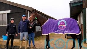 Appleby on a high following Big Evs&rsquo; Breeders&rsquo; Cup heroics